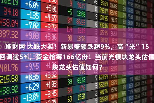 堆财网 大跌大买！新易盛领跌超9%，高“光”159363回调逾5%，资金抢筹166亿份！当前光模块龙头估值如何？