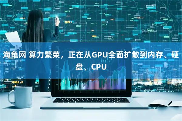 海龟网 算力繁荣，正在从GPU全面扩散到内存、硬盘、CPU