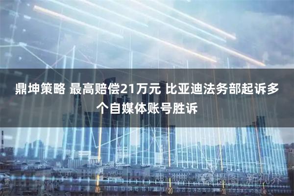 鼎坤策略 最高赔偿21万元 比亚迪法务部起诉多个自媒体账号胜诉