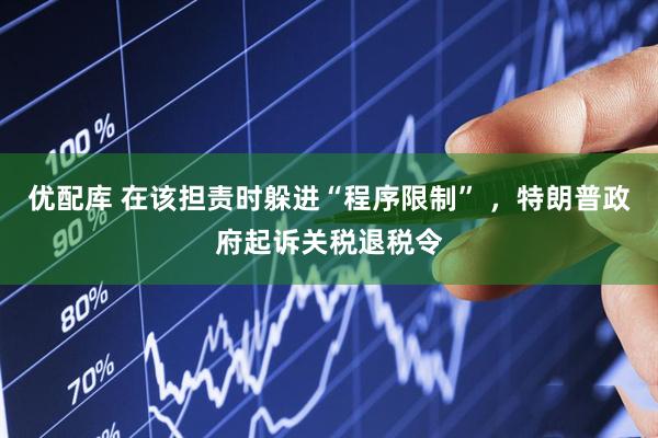 优配库 在该担责时躲进“程序限制” ，特朗普政府起诉关税退税令